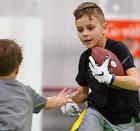fencing